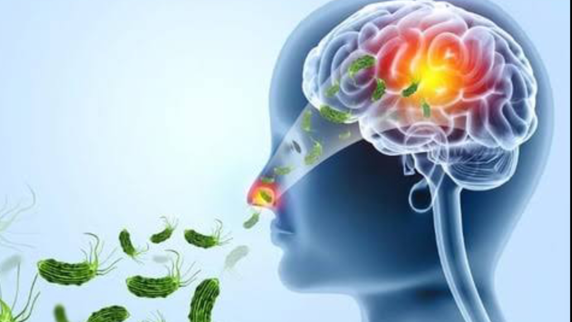 അമീബിക് മസ്തിഷ്‌ക ജ്വരം: മുങ്ങിക്കുളി ഒഴിവാക്കണമെന്ന് ഡി.എം.ഒ