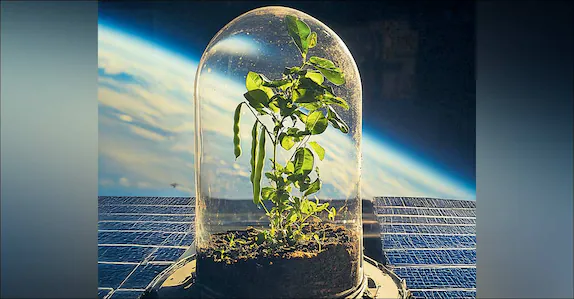 ബഹിരാകാശത്ത് ‘വിത്ത് മുളപ്പിക്കാൻ’ ഐഎസ്ആർഒ;